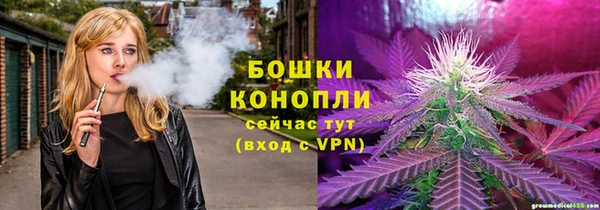 ПСИЛОЦИБИНОВЫЕ ГРИБЫ Арсеньев