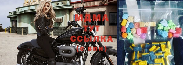 ПСИЛОЦИБИНОВЫЕ ГРИБЫ Арсеньев
