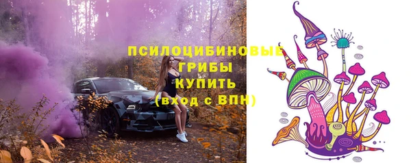 винт Армянск
