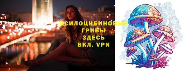 дмт Аркадак