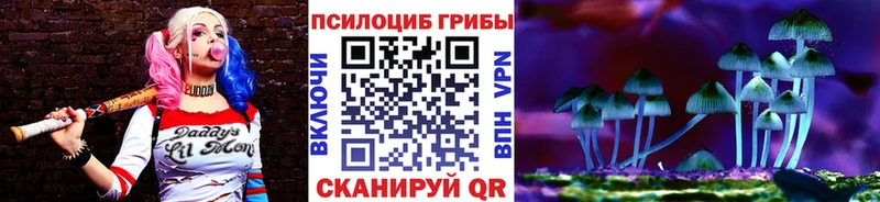 как найти наркотики  Арсеньев  Галлюциногенные грибы ЛСД 